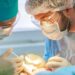 transplantation capillaire
